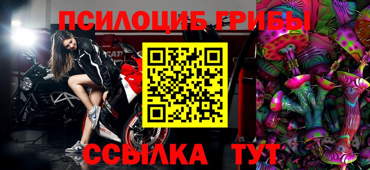 Галлюциногенные грибы Psilocybine cubensis Ртищево